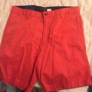 Saddlebred shorts